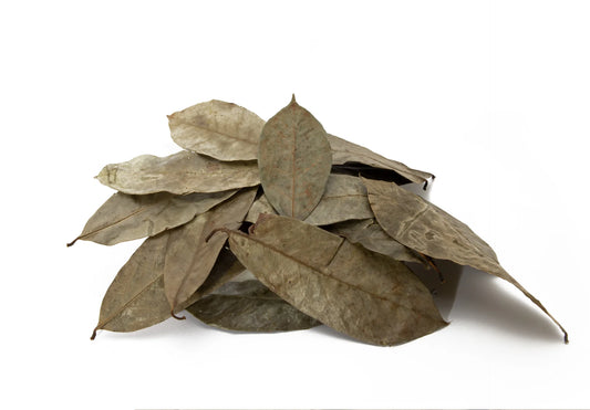 Dried Soursop Leaves